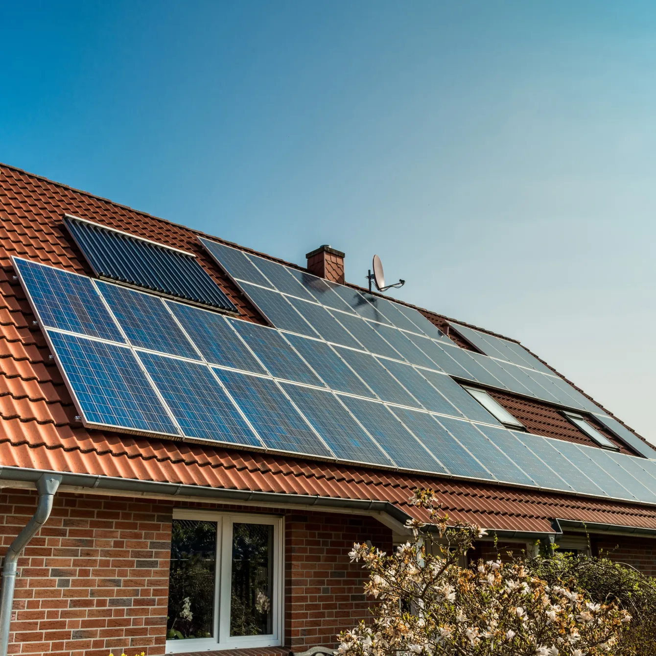 PV-Anlage reinigen