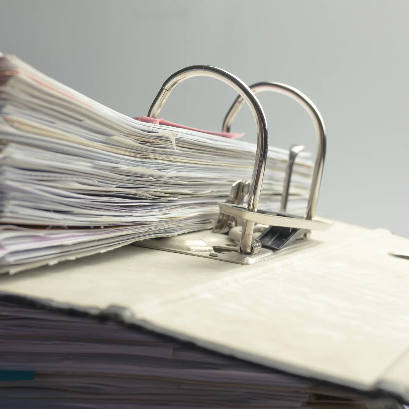 Your trade needs to go digital