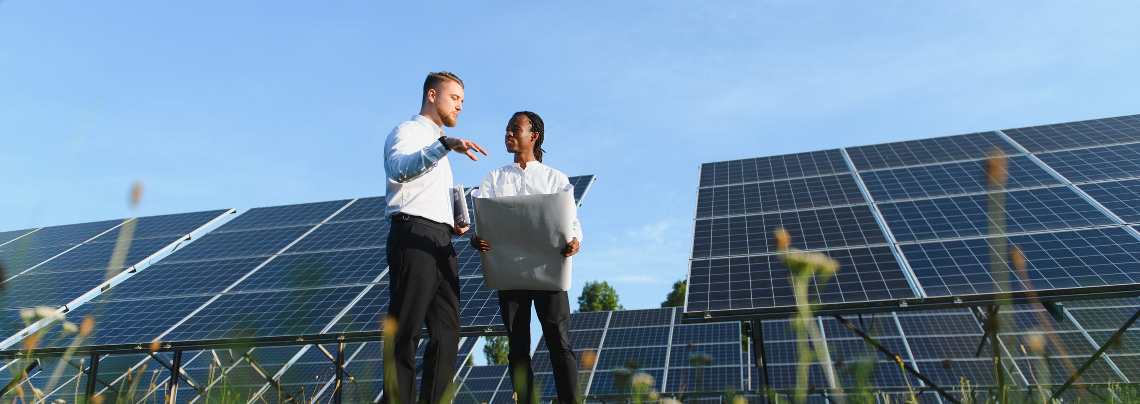 Wie Solarteure mit dem wachsenden PV-Geschäft mithalten können