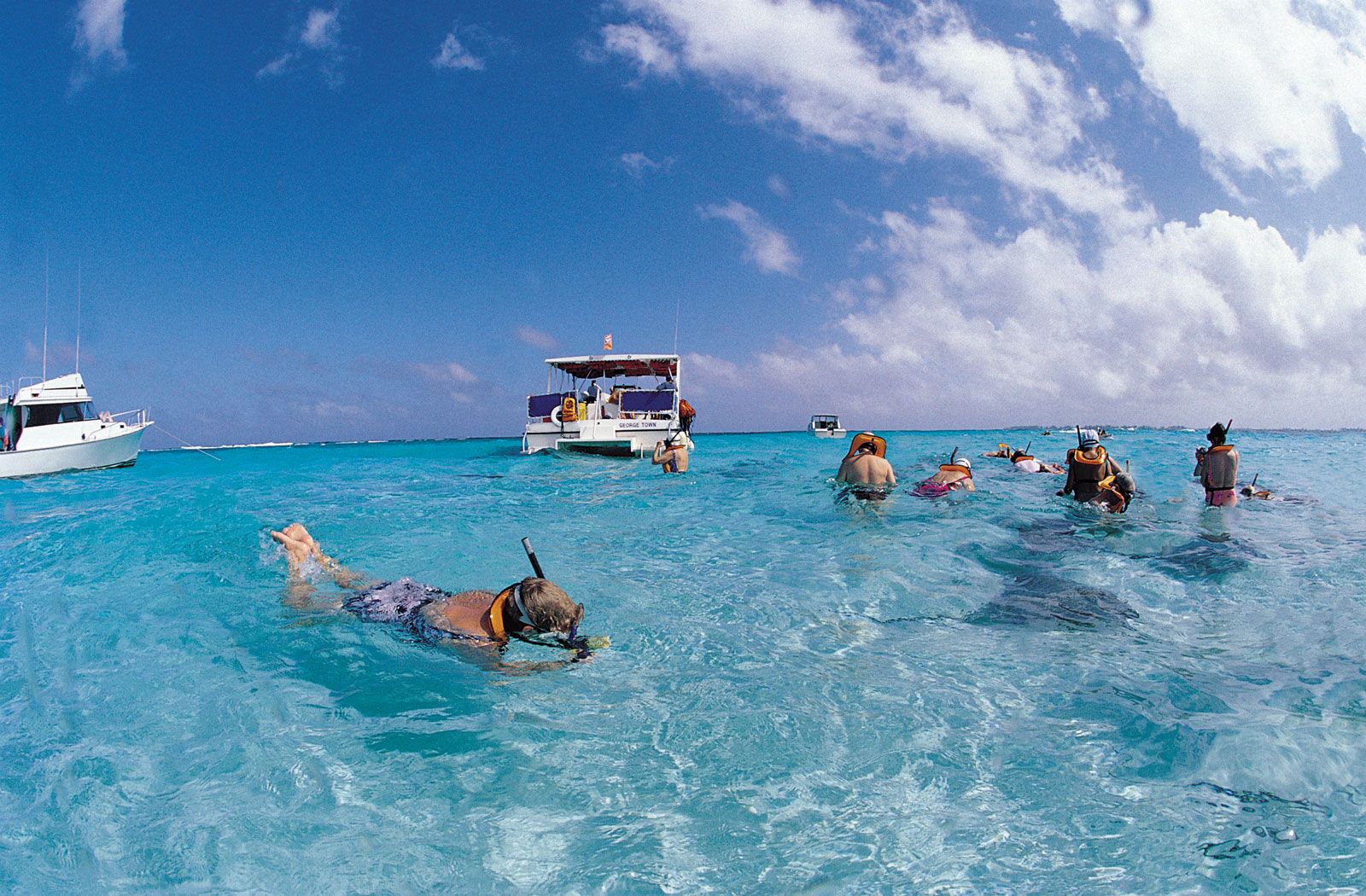 Offshore Cayman Islands Company Formation