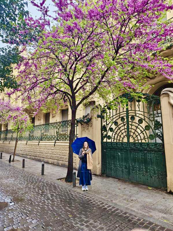 Mari-Alina Timoshchuk in Madrid Spain under a tree with purple flowers holding a blue umbrella