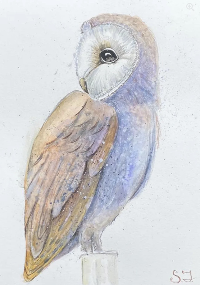 Mari-Alina Timoshchuk's art of an owl