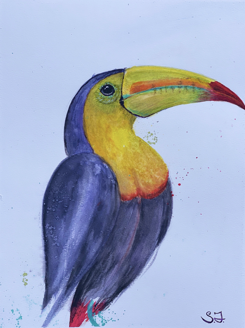 Mari-Alina Timoshchuk's art of a bird that is a Tucan