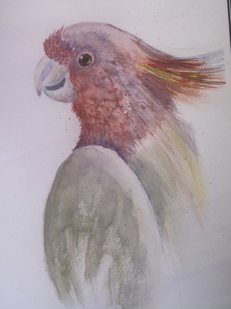 Mari-Alina Timoshchuk's art of a bird