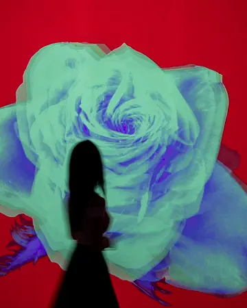 FLOWER ROSE ODYSSEY