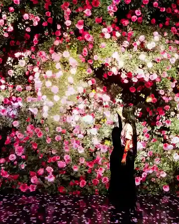 PROTAGONISTS OF A REALM THAT TRANSFORMS WITH THE PASSAGE OF TIME