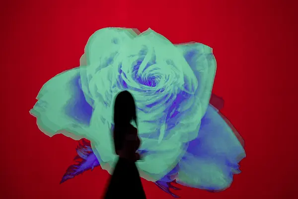 FLOWER ROES ODYSSEY