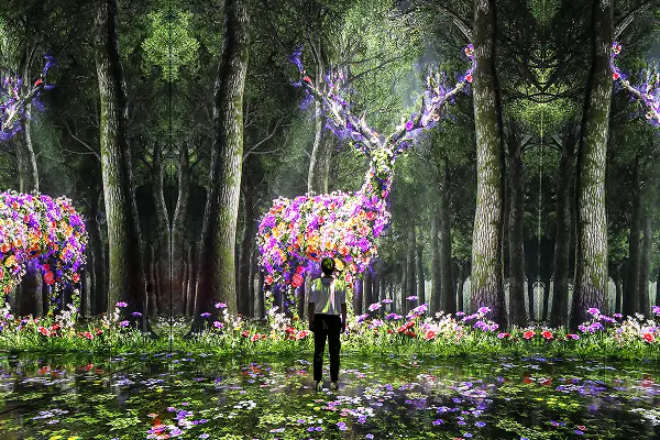 FOREST