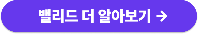 밸리드 웹사이트 보러가기 버튼