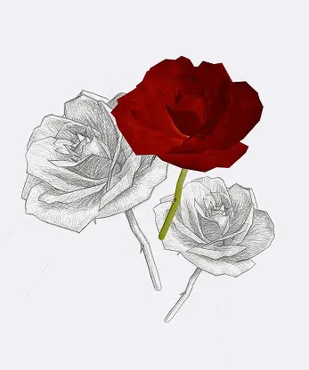 Princess Birthday vending machine prize dispensing reward system Malaysia