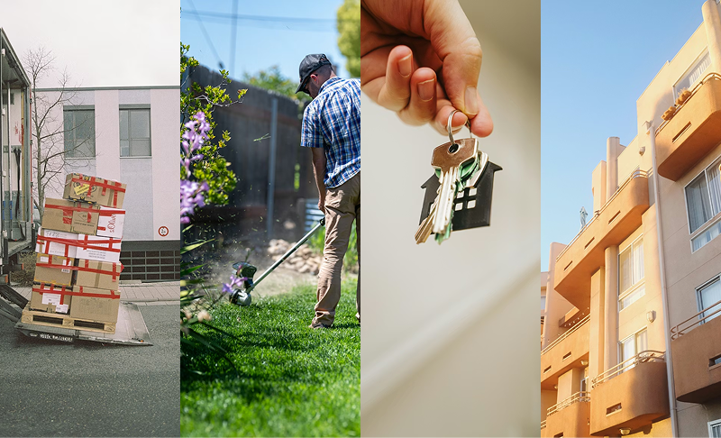 Visa Assistance & Immigration Support Services