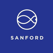 Business Intelligence Analyst