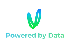 Domain Architect - Data & AI