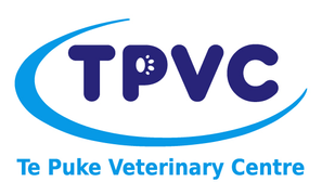 LARGE ANIMAL VETERINARY TECHNICIAN – Fixed term position