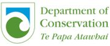 Customer Experience AI Specialist