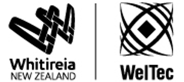 Analyst, Insights and Reporting