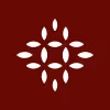 Data Analyst