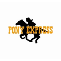 Performance & Analytics Executive