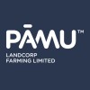 Data & AI Product Lead