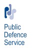 Business Data Analyst