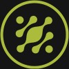 Digital Marketing Strategist