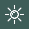 Project Engineer