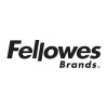 Corporate Accountant and Financial Analyst