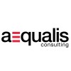 Project Engineer
