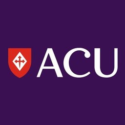 CRM Solutions Engineer