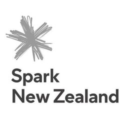 Network Engineer