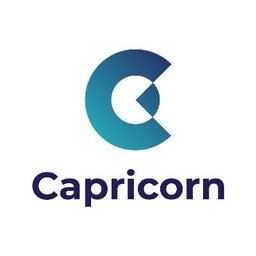 Senior Risk Officer