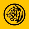 ITSM Process Analyst