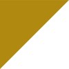 Clinical Research Associate II