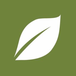 Senior Lawyer