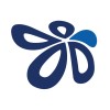Regional Nurse Coordinator