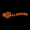 Computer Vision Engineer