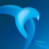 Regional Financial Analyst
