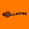 Computer Vision Engineer