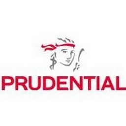 Financial Analyst