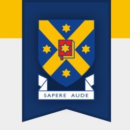 Senior Business Analyst