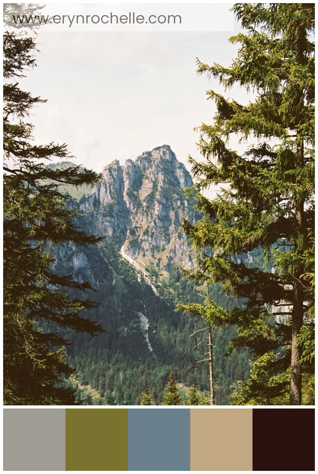 A majestic mountain with trees, showcasing a blend of rocky peaks, lush foliage, and sunlit terrain in earthy tones.
