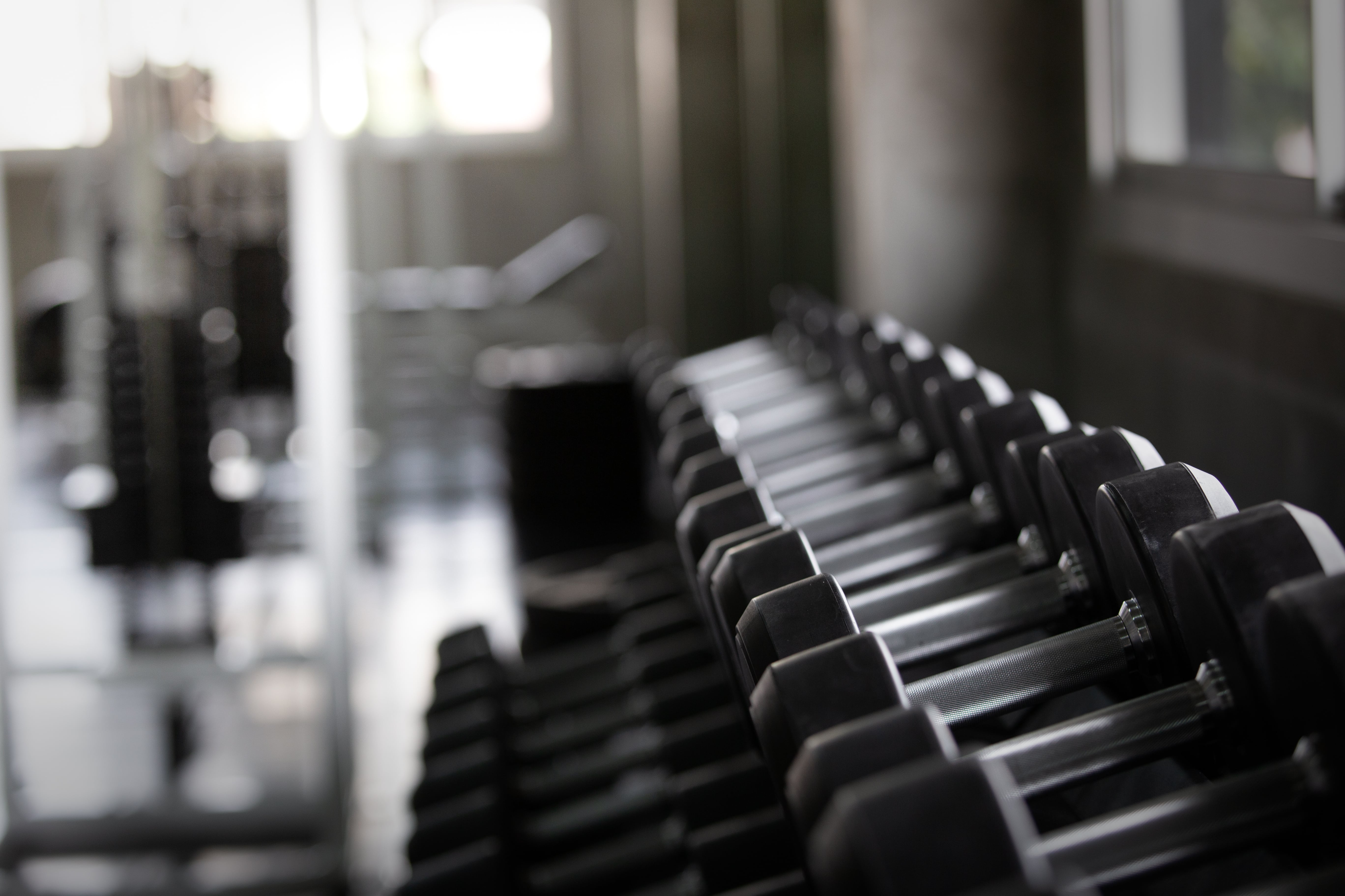 A row of black dumbbells in a gym.