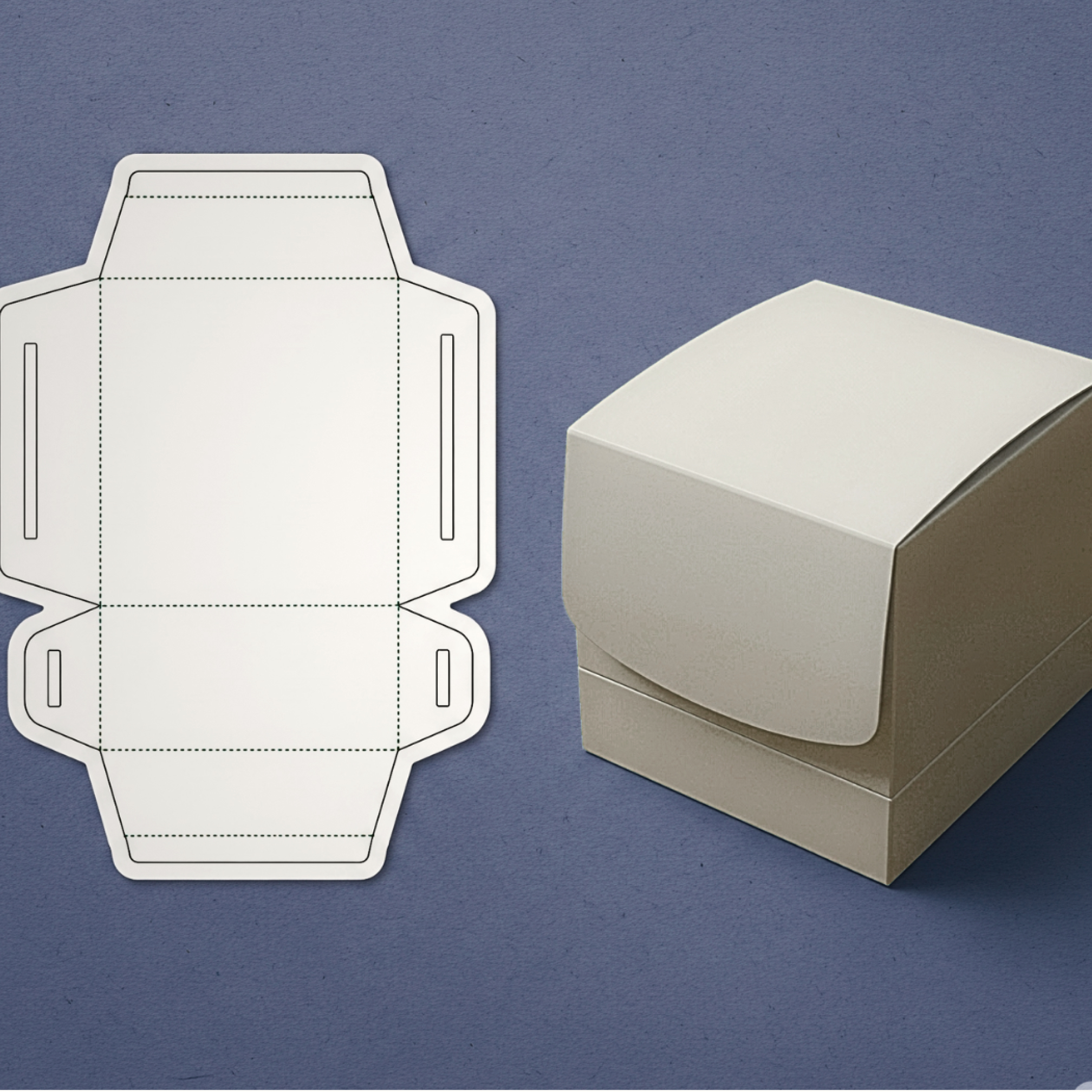 Specification & Rollout Plan of Structured Process
