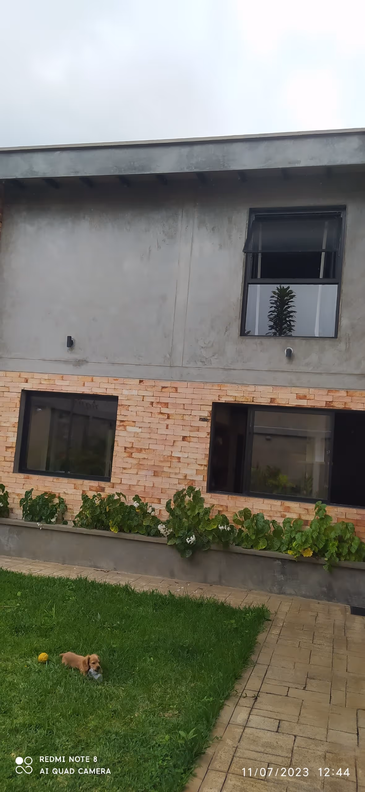 Fachada pisos y techos