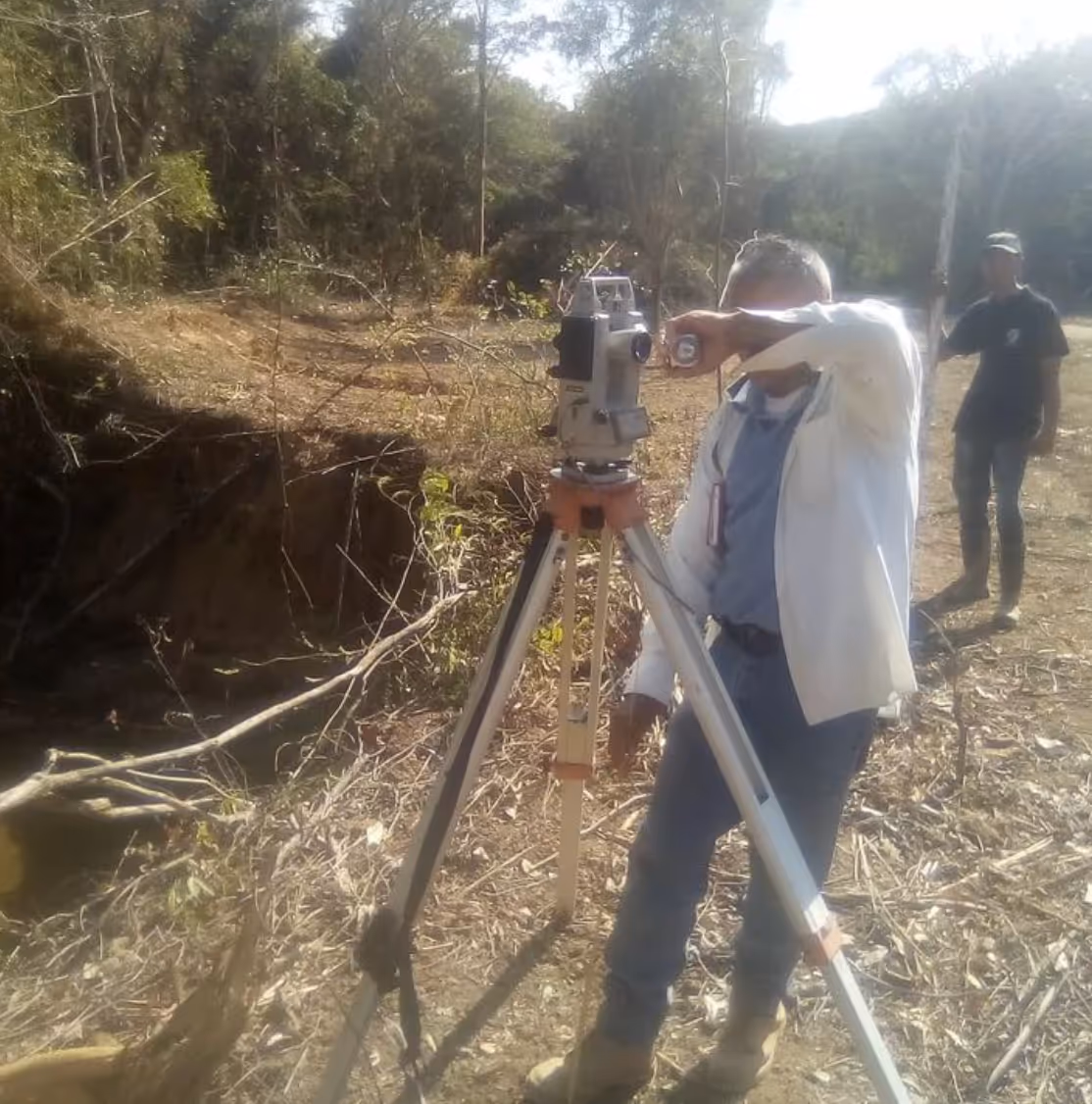 Replanteo de siembra Merida y Zulia 