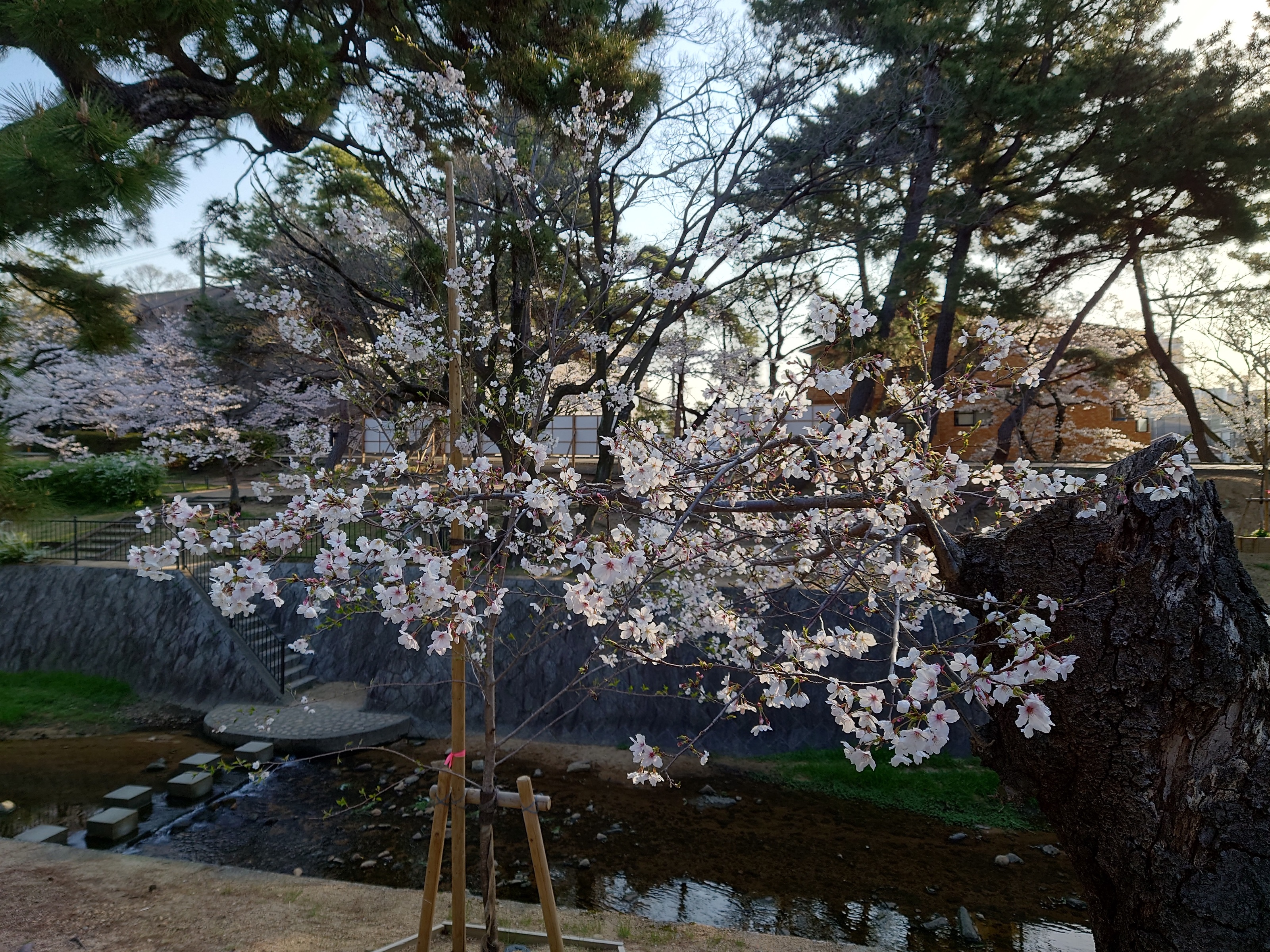 image of founders with a shared moment (for a edtech)