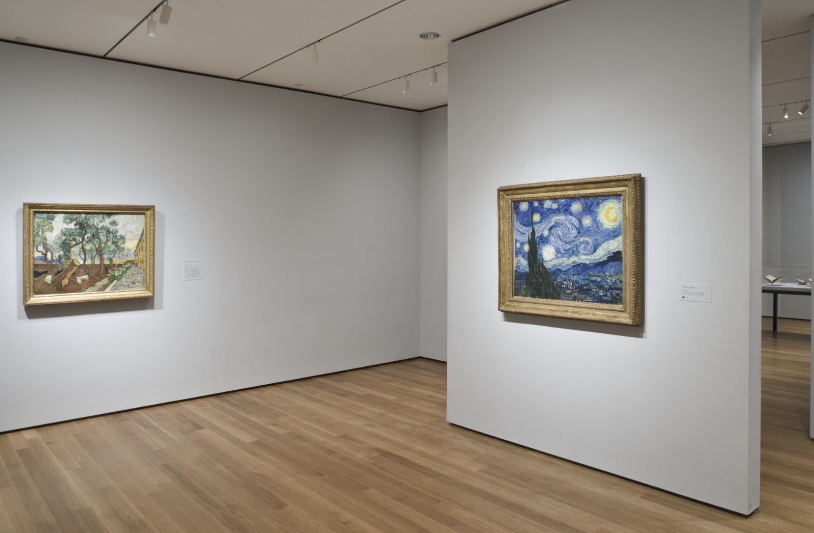 Van Gogh and the Colors of the Night