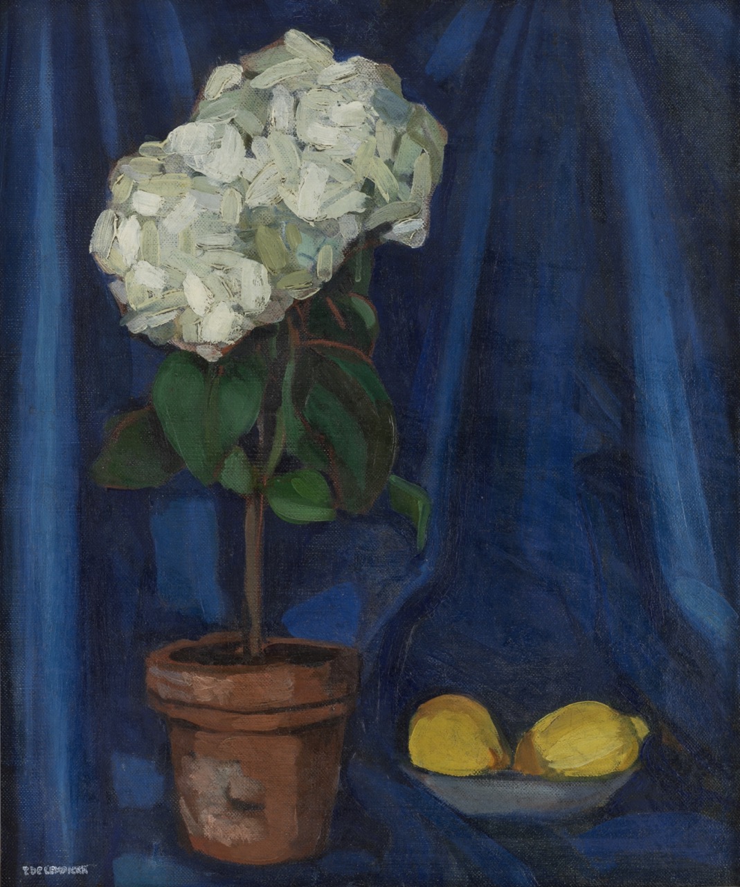Tamara de Lempicka: Bouquet d'hortensias et citron