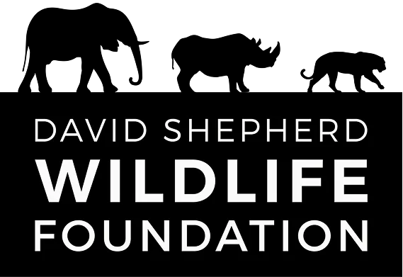 David Shepherd Wildlife Foundation