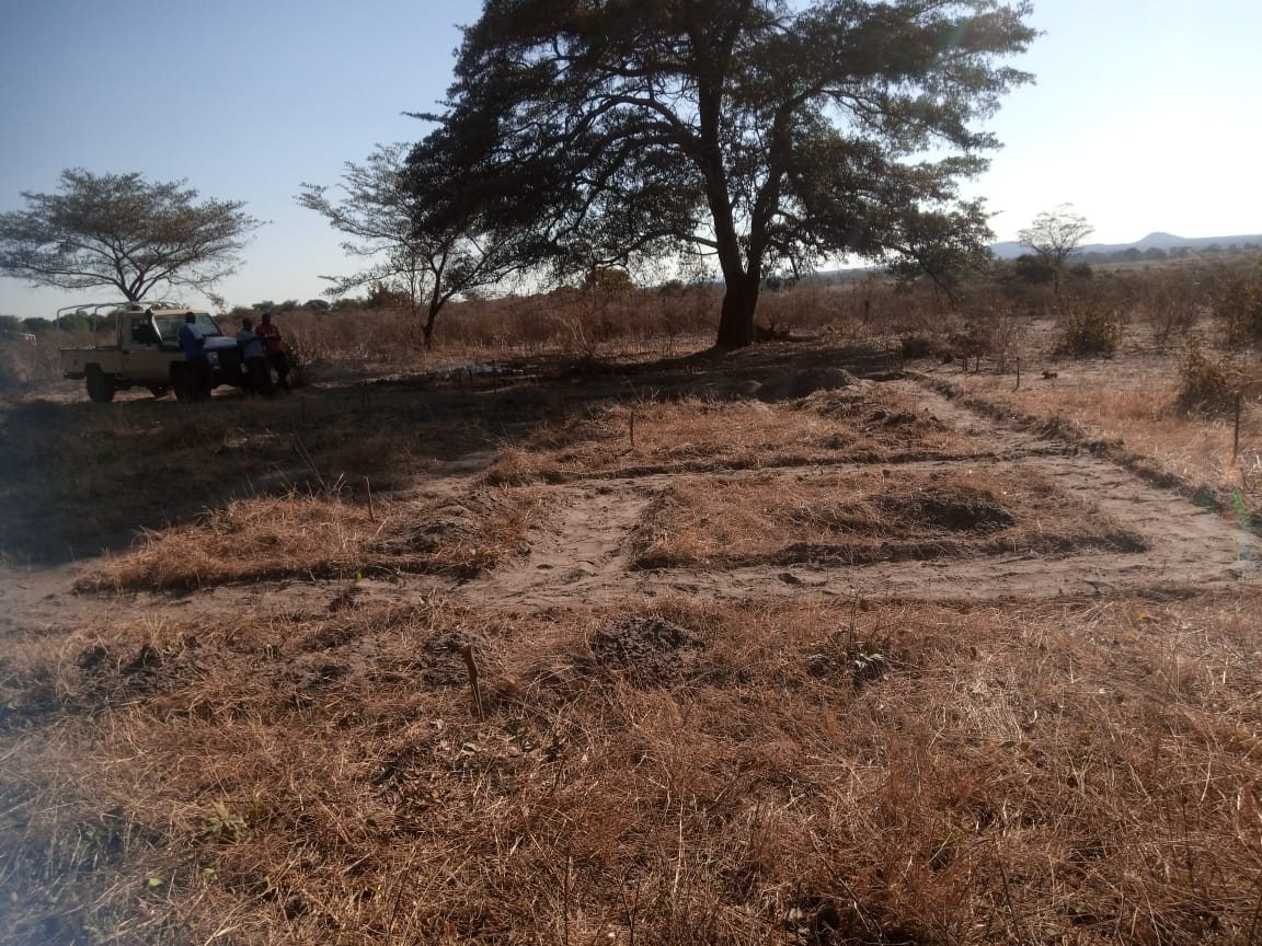 Ground-Breaking News: Construction Begins at New Ngoma School